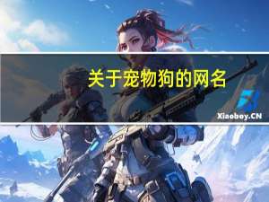 关于宠物狗的网名
