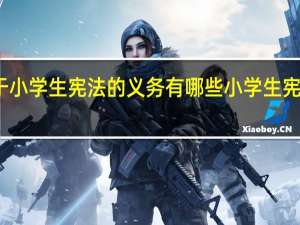 关于小学生宪法的义务有哪些 小学生宪法小常识