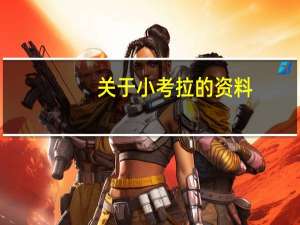 关于小考拉的资料（考拉的资料）