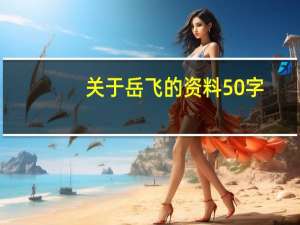 关于岳飞的资料50字（岳飞简介50字）