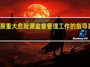 关于开展重大危险源监督管理工作的指导意见替代文件