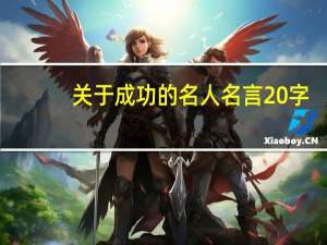 关于成功的名人名言20字（关于成功的名人名言）