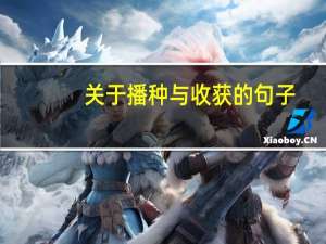 关于播种与收获的句子