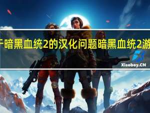 关于暗黑血统2的汉化问题 暗黑血统2游戏外设置