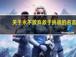 关于永不放弃敢于挑战的名言