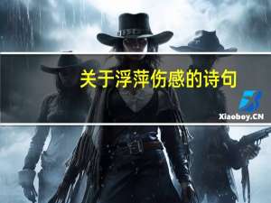 关于浮萍伤感的诗句