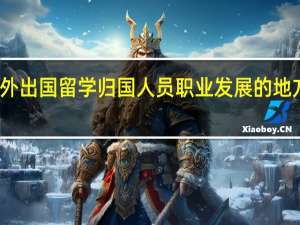 关于海外出国留学归国人员职业发展的地方性政策分析