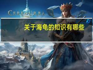 关于海龟的知识有哪些