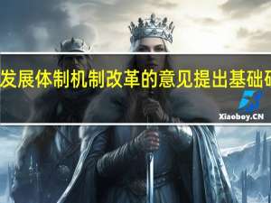 关于深化人才发展体制机制改革的意见提出基础研究人才以什么为主