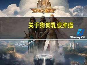 关于狗狗乳腺肿瘤