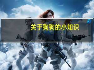 关于狗狗的小知识