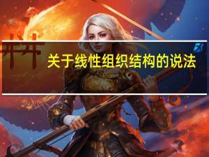 关于线性组织结构的说法，错误的是（ ）。