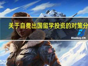 关于自费出国留学投资的对策分析