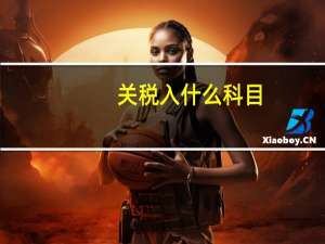 关税入什么科目