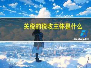 关税的税收主体是什么
