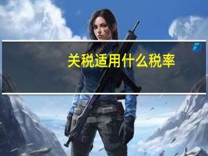 关税适用什么税率