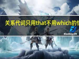 关系代词只用that不用which的情况