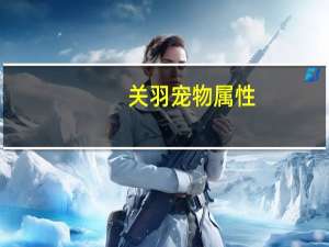 关羽宠物属性