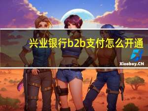 兴业银行b2b支付怎么开通