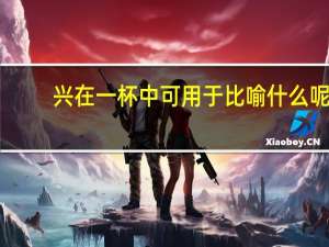 兴在一杯中可用于比喻什么呢