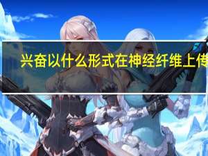 兴奋以什么形式在神经纤维上传导