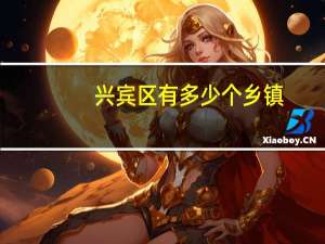 兴宾区有多少个乡镇