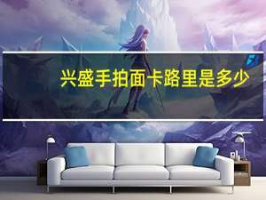 兴盛手拍面卡路里是多少
