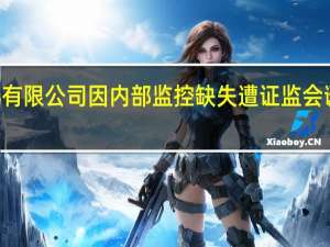 兴证国际证券有限公司因内部监控缺失遭证监会谴责及罚款350万元