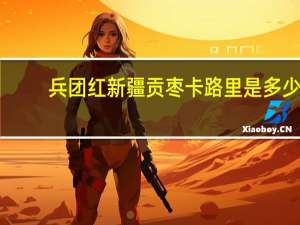 兵团红 新疆贡枣卡路里是多少