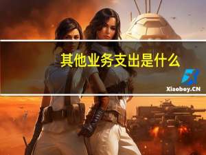其他业务支出是什么