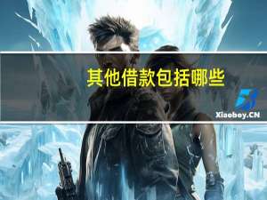 其他借款包括哪些