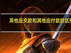其他应交款和其他应付款的区别