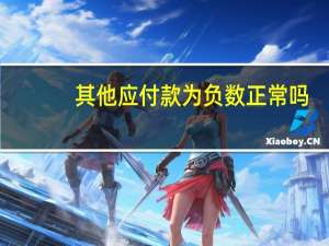 其他应付款为负数正常吗（其他应付款为负数是什么意思）