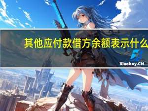 其他应付款借方余额表示什么