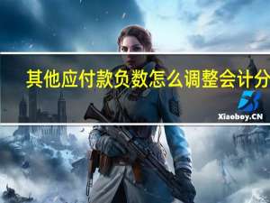 其他应付款负数怎么调整会计分录