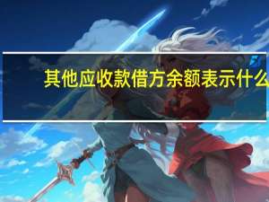 其他应收款借方余额表示什么