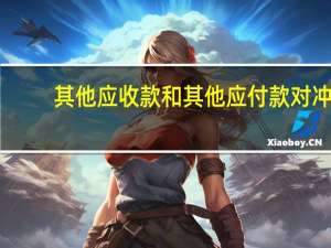 其他应收款和其他应付款对冲