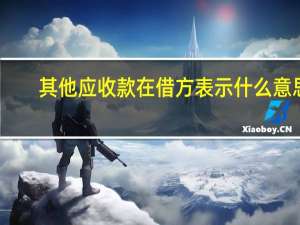 其他应收款在借方表示什么意思（其他应收款在借方表示什么）