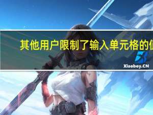 其他用户限制了输入单元格的值