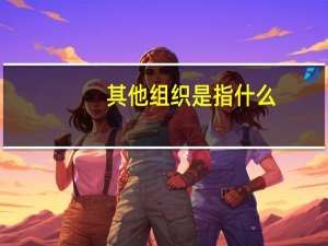 其他组织是指什么
