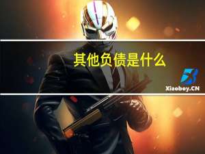 其他负债是什么