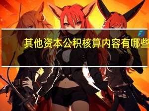 其他资本公积核算内容有哪些（其他资本公积核算内容）