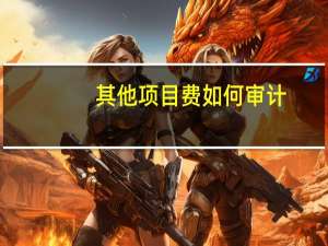 其他项目费如何审计