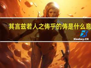 其言兹若人之俦乎的俦是什么意思