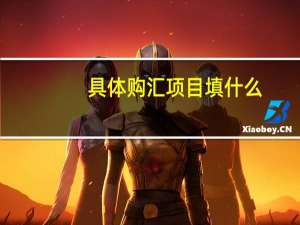 具体购汇项目填什么