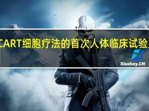 具有新结合机制的 CAR T 细胞疗法的首次人体临床试验显示出有希望的早期反应