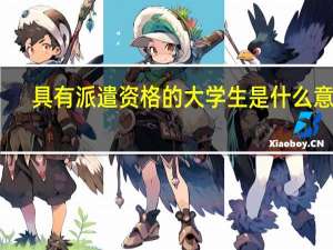 具有派遣资格的大学生是什么意思