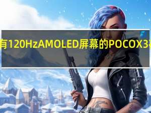 具有120Hz AMOLED屏幕的POCO X3在线认证