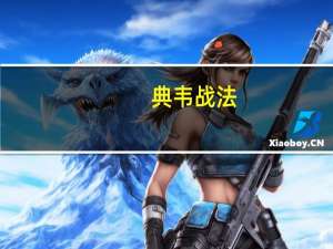 典韦战法