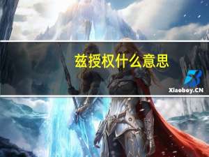 兹授权什么意思（兹授权）